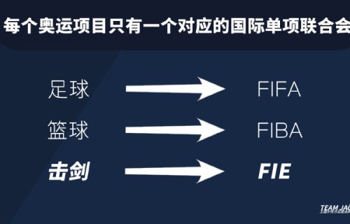 网友对王嘉尔担任击剑大使评价如何？