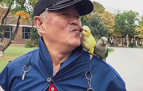 赵本山在三亚被拍到逛商场的具体细节是怎样的？|保镖|排场|春晚|棱镜|养老