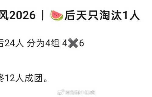 乘风2026最终成团名额到底有多少个？