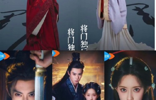 《将门毒后》的选角争议具体有哪些，书粉为何不满？|谢景行|孟子义|沈妙|王鹤棣|原著