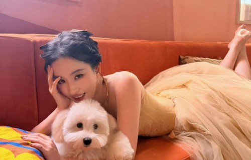 刘亦菲和郭遇安在电视剧《玫瑰的故事》中同框的视频