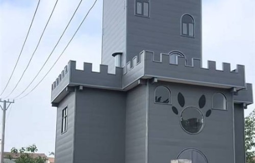 河南一房屋酷似“灰太狼城堡”走红 房主亲自设计