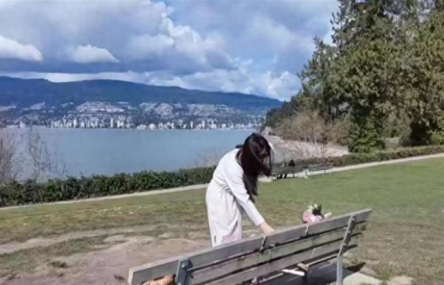 王祖贤献花悼念张国荣，坐纪念长椅凝视旧照，一待就是大半天