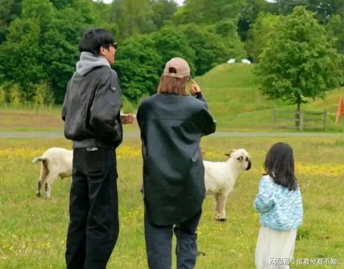 打开网易新闻 查看精彩图片