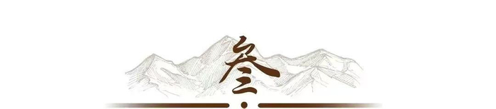 打开网易新闻 查看精彩图片